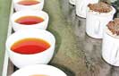 Stakeholders renew call for tea industry liberalisation 