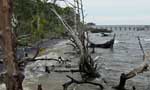 Gathering storms Sri Lanka facing severe climate risks needs to get ready