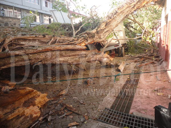 Fallen branch damages vehicles near Eye Hospital 