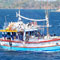 147 asylum seekers arrested