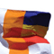 Wrong Buddhist flags seized
