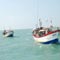 Six Indian and 12 SL fishermen released