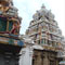 No protests near Munneswaram Devalaya