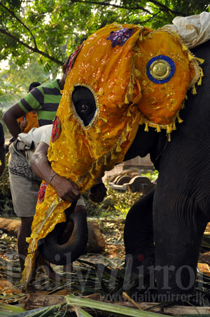 Prior to the procession