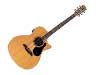 Guitar Fest-2014
