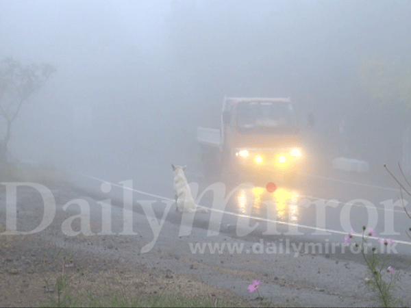 Fog descends on Haputale