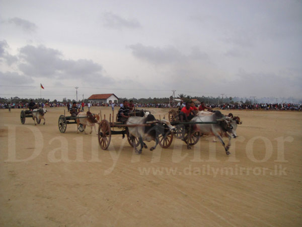 Sports festival in Puttalam