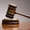 Bandula’s son released on bail