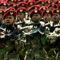 More than 33,000 dismissed from Army last year
