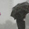 Eighty schools closed in Badulla