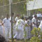 Gampaha school clash: three students arrested