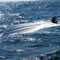 SL vessel found floating in Kenya waters