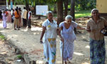50% voter turnout by 2 p.m