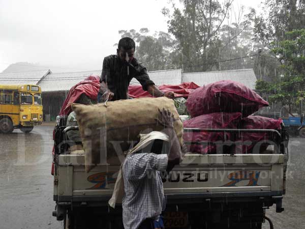 Vegetable farmers in distress