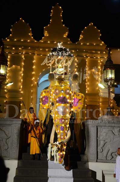 Tusker carrying the Sacred Casket