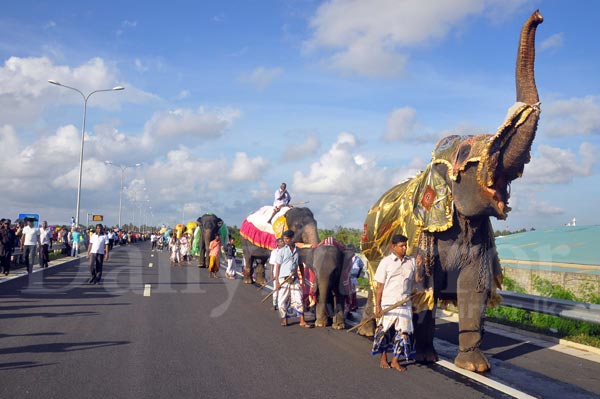 Video: Elephant parade on Expressway 