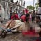 Muslims urged to avoid animal sacrifices on Poya day