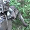 Jumbo breaches Navy security