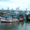 TN fishermen to meet Basil