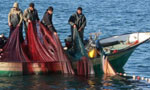 House opposes Indian fisherman poaching in SL waters