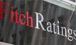 Growth to slow; but still ‘healthy’: Fitch