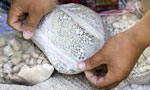 More than 8 KG heroin seized