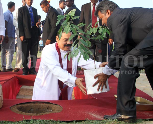 Tree planting Ceremony