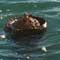 Fishermen warned of SL-made IED afloat near coast