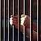Lankan maid jailed for six months