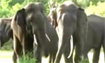 Video: Two new national parks to be declared this month