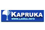 Kapruka brings ‘Global Shopping' to fingertips 