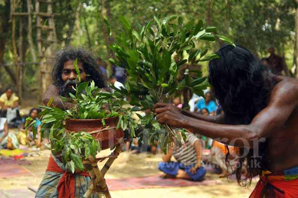 Video: Indigenous People's Day...