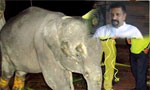 UNP WPC member Kahatapitiya remanded