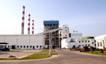 Coal bid runs into fresh controversy