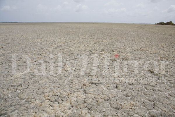 Puttalam lagoon dries out