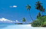 Maldives falls 40,000 short of million tourist target for 2012