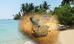 Jellyfish: Indefinite bans if issue persits