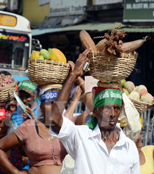 Video: Seeds of protest