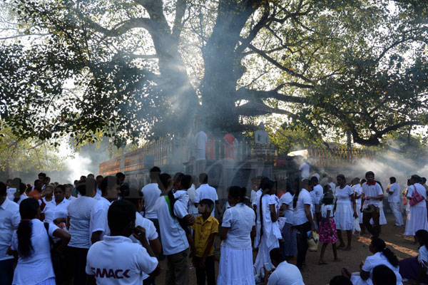 Seeking blessings on Unduvap Poya day 