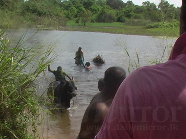 Video: Bull and two actors rescued