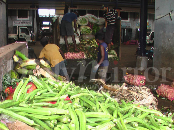 Plenty of veges; prices down