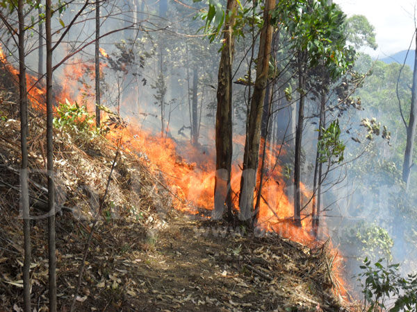 Fire at Rahangala Mountain