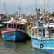 41 TN fishermen released