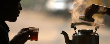 Circular issued against adding sugar into tea