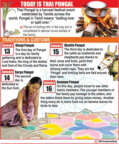 'Thai Pongal'