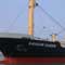 Vietnamese cargo ship sinks off SL