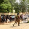 Jaffna University students released
