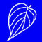 Candidates selected for bonus seats