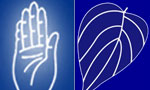 SLFP likely to break-up with UPFA