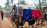 16,000 SL refugee kids born in India stateless